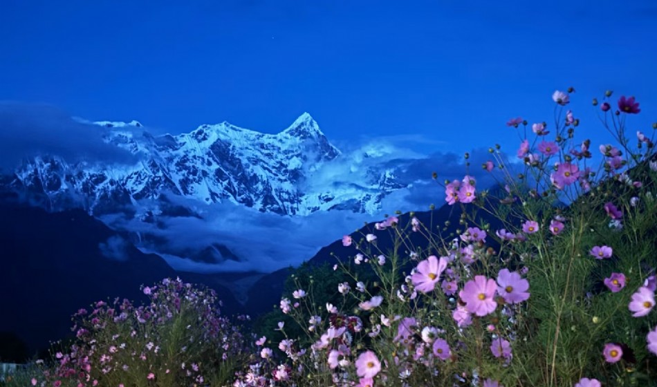 Seasonal limited tour: Tibet Snowland Peach Blossom 8 days 7 nights